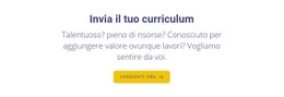 Invia Il Tuo Curriculum