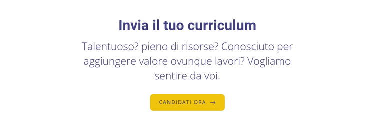 Invia il tuo curriculum Modello di sito Web