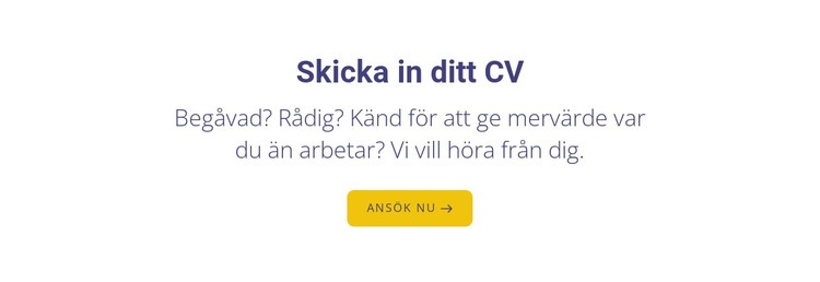 Skicka in ditt CV CSS -mall