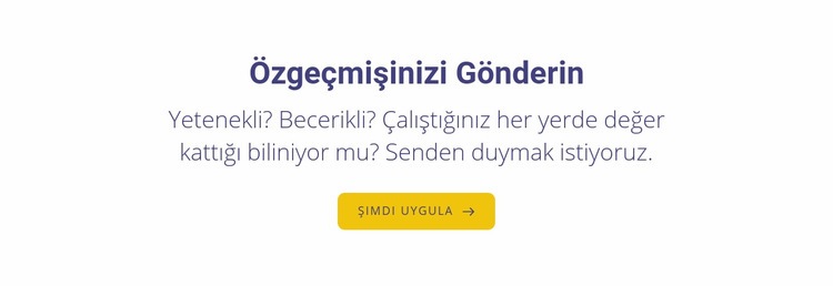 özgeçmişinizi gönderin Açılış sayfası