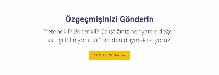 özgeçmişinizi gönderin HTML5 Şablonu