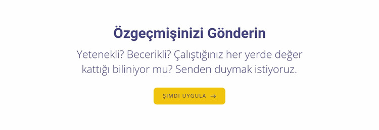 özgeçmişinizi gönderin Joomla Şablonu