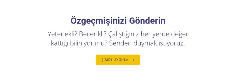 özgeçmişinizi gönderin Şablon