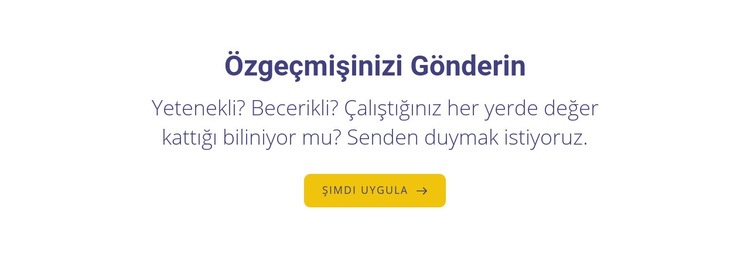 özgeçmişinizi gönderin Web sitesi tasarımı