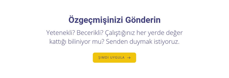 özgeçmişinizi gönderin WordPress Teması