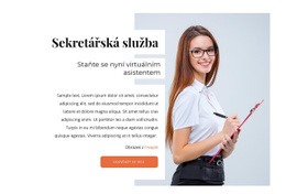 Online Sekretářská Služba – Inspirace Motivem WordPress