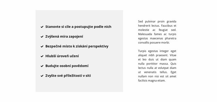 Seznam a text Šablona CSS