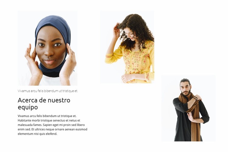 Equipo internacional Diseño de páginas web