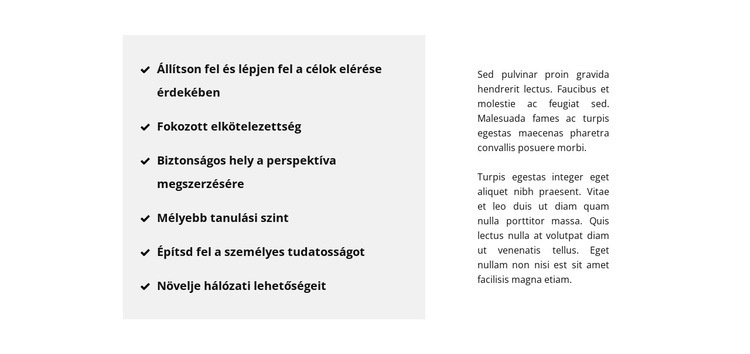 Lista és szöveg CSS sablon