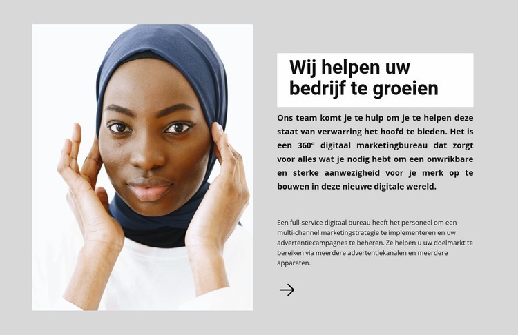 Advisering bedrijfsontwikkeling Website mockup