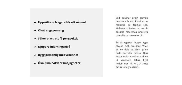 Lista och text CSS -mall