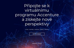 Virtuální Program