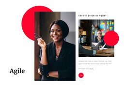 Sviluppo Software Agile - Modello Semplice Di Una Pagina