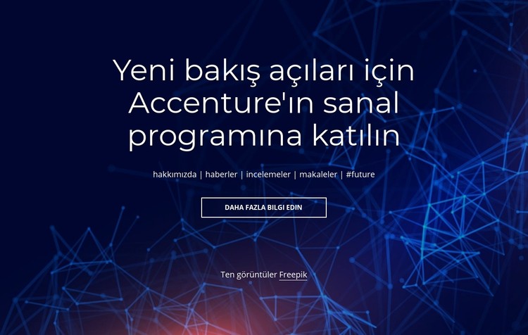 sanal program CSS Şablonu