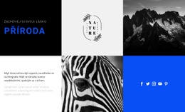 Bezplatná Šablona Návrhu Pro Přírodní Textury