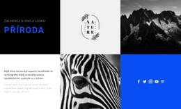 Přírodní Textury #Html-Templates-Cs-Seo-One-Item-Suffix