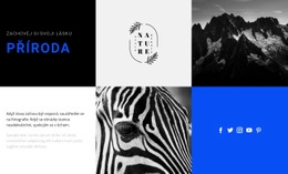 Přírodní Textury – Profesionální Šablona Webu
