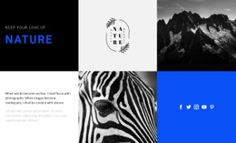 Nature textures - CSS Template by Nicepage