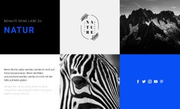 Die Beste HTML5-Vorlage Für Naturtexturen