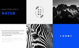 Naturtexturen – Premium-Joomla-Template