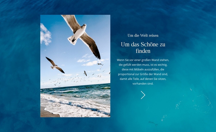 Um die Welt reisen Website design