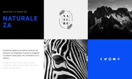 Texturas De La Naturaleza - Diseño Creativo De Sitios Multipropósito