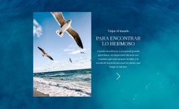 Viajar El Mundo Plantilla De Código Abierto