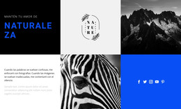 Texturas De La Naturaleza - Sitio Web De Comercio Electrónico