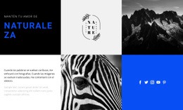 Texturas De La Naturaleza