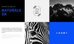 Texturas De La Naturaleza - Plantilla Premium De Joomla