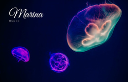 Mundo Marino #Wordpress-Themes-Es-Seo-One-Item-Suffix