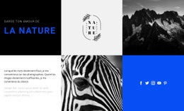 Textures De La Nature - Builder HTML