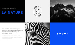Textures De La Nature - Modèle De Site Web Professionnel
