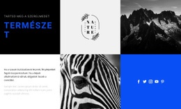 Természeti Textúrák – E-Kereskedelmi Webhely