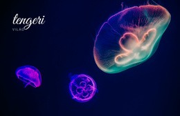 Tengeri Világ #Templates-Hu-Seo-One-Item-Suffix