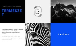 Ingyenes Tervezősablon Természeti Textúrák Számára