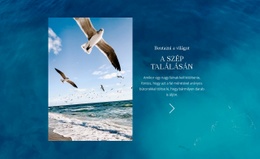 Többcélú Webhelytervezés Beutazni A Világot Számára