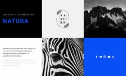 Texture Della Natura