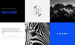 Gratis Ontwerpsjabloon Voor Natuur Texturen