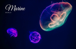 Marine World One Page Template