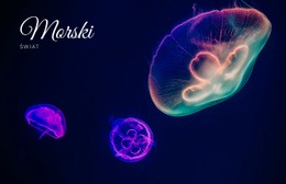 Świat Morski #Website-Design-Pl-Seo-One-Item-Suffix