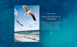 Viajar O Mundo - Modelo De Código HTML