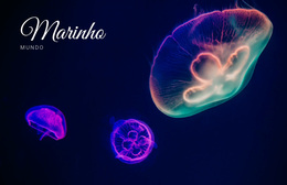 Tema WordPress Gratuito Para Mundo Marinho