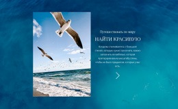 Путешествовать По Миру Шаблон С Открытым Исходным Кодом