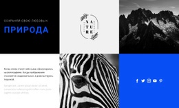 Текстуры Природы – Профессиональный Шаблон Сайта