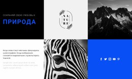 Текстуры Природы – Многофункциональная Тема WooCommerce