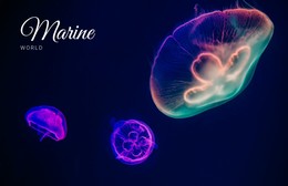 Marine World - Best Static Site Generator