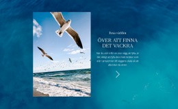 Resa Världen - HTML-Kodmall