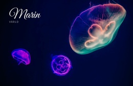 Marin Värld