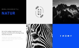 Naturstrukturer - Professionell Webbplatsmall